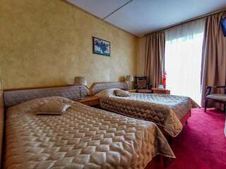 Отель Hotel Belvedere Предял Двухместный номер с 2 отдельными кроватями-2