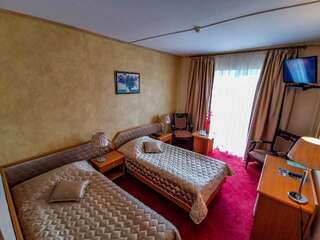 Отель Hotel Belvedere Предял Двухместный номер с 2 отдельными кроватями-3